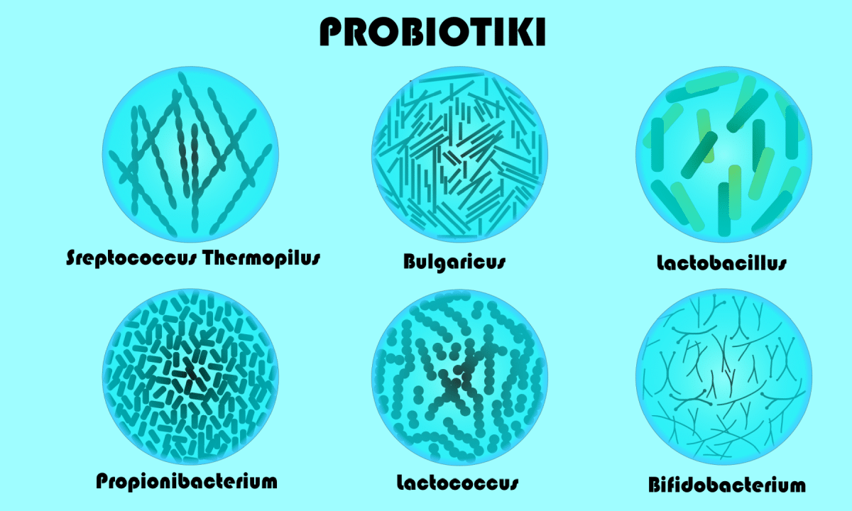 Slika probiotikov